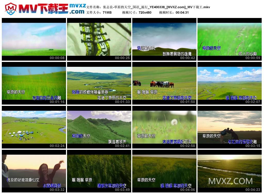 张志良-草原的天空_国语_流行_YE400338